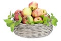 Apples in round basket