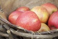 Apples in a rustic basket