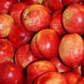 Apples Royalty Free Stock Photo