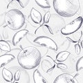 Apples seamless pattern. Apple tree leaf on gray background. Royalty Free Stock Photo