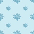 Apples seamless pattern on blue background. Vintage botanical wallpaper Royalty Free Stock Photo