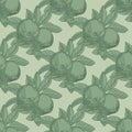 Apples seamless pattern on green background. Vintage botanical wallpaper Royalty Free Stock Photo