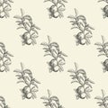 Apples seamless pattern in modern style. Hand draw fruit texture. Royalty Free Stock Photo