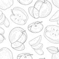 Apples Seamless Pattern, Monochrome Hand Drawn Whole and Sliced Apples Vector Illustration Royalty Free Stock Photo