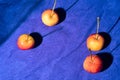 Apples with shadows on a blue paper Royalty Free Stock Photo