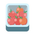 Apples in Tray Flat Design Illustration.