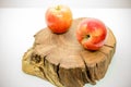 Red Apples on a tree stump isolated on white background.piece of wood cross sectionwith tree ring texture, pattern and Royalty Free Stock Photo