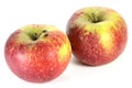 Apples variety Ingrid Marie Royalty Free Stock Photo