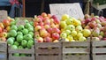 Apples Royalty Free Stock Photo