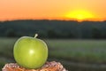 Green apple on a background of dawn in the field.