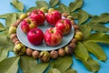 Apples and walnuts on a plate surrounded by green leaves of a tree Royalty Free Stock Photo