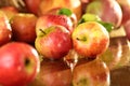 Apples on a wet table Royalty Free Stock Photo