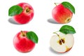Apples on the white isolated background Royalty Free Stock Photo
