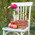 Apples and wicker basket with flowers on a white chair in the garden