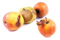 Apples, wilted, rotten on a white background