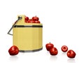 Apples in Wood Pail Bucket Royalty Free Stock Photo