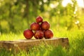 Apples on the wooden box