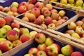 Apples in wooden boxes at farmers market Royalty Free Stock Photo