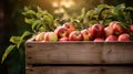 Apples in a wooden crate on the grass, AI Royalty Free Stock Photo