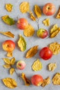 Apples and yellow dry leaves on a grey concrete background. Autumn pattern, texture. Top view, flat lay Royalty Free Stock Photo