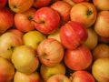 Apples are yellow with red color as a background. Macro photo of an apple with water drops Royalty Free Stock Photo