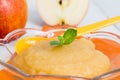 Applesauce with cinnamon and orange spoon