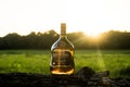 Appleton Estate, Jamaica - July 2019: Bottle of APPLETON ESTATE SIGNATURE BLEND, Jamaica Rum Signatu