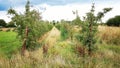 Appletrees in the fields Royalty Free Stock Photo