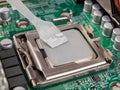 Application and distribution of an even layer of thermal conductive paste, heat-conducting, on the CPU cover, cooling of computer Royalty Free Stock Photo