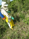Application of herbicide on a wood stump in a pasture area of a farm