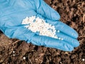 The application of nitrogenous fertilizers in soil in early spring, plant care Royalty Free Stock Photo