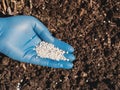 The application of nitrogenous fertilizers in soil in early spring, plant care Royalty Free Stock Photo