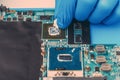 Application of thermal paste on the laptop processor chip for high-quality cooling Royalty Free Stock Photo