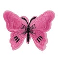 Applique from a butterfly fabric. Isolate on white