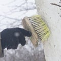 Apply a brush of whitewash to the trees in the garden to protect them from the sun Royalty Free Stock Photo