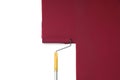 Applying burgundy paint with roller brush on wall Royalty Free Stock Photo