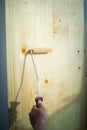 Applying clear coat paint on a wooden surface with roller brush. Painting wood wall and floor Royalty Free Stock Photo