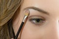 Applying Eyeshadow Royalty Free Stock Photo