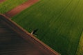 Applying fungicide chemicals on wheat seedling field, aerial view of tractor with crop sprayer