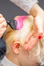 Applying pink dye with the brush on the white hair of a young blonde woman in a hairdresser salon. Royalty Free Stock Photo