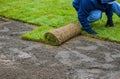 Applying rolled green grass with laying sod for new lawn Royalty Free Stock Photo