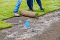 Applying rolled green grass with laying sod for new lawn Royalty Free Stock Photo