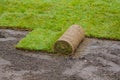 Applying rolled green grass with laying sod for new lawn Royalty Free Stock Photo