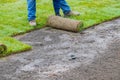 Applying rolled green grass with laying sod for new lawn Royalty Free Stock Photo