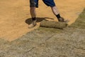 Applying rolled green grass with laying sod for new lawn Royalty Free Stock Photo