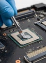 Applying Thermal Paste to a Computer Processor Chip Royalty Free Stock Photo