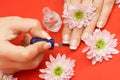Applying transparent varnish on nails Royalty Free Stock Photo