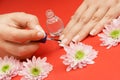 Applying transparent varnish on nails Royalty Free Stock Photo