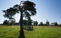 Appomattox County Courthouse National Park Royalty Free Stock Photo