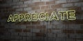 APPRECIATE - Glowing Neon Sign on stonework wall - 3D rendered royalty free stock illustration